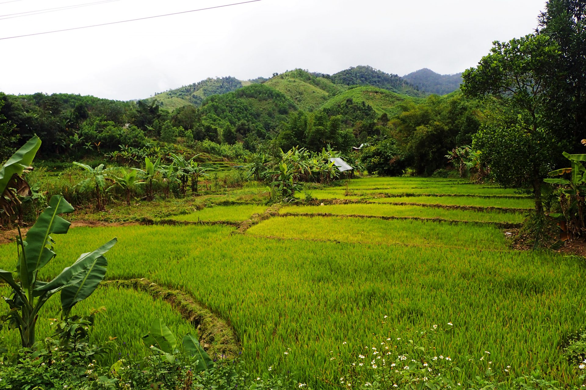 Week 3 In Vietnam The Cơ Tu Village Kulturstudier